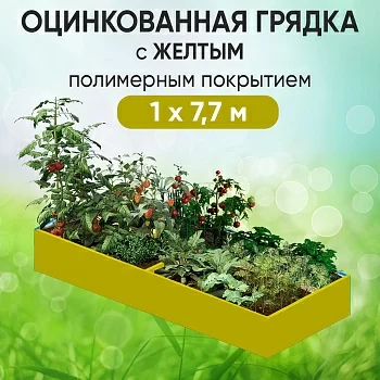 Грядка желтая (1 х 7,7)