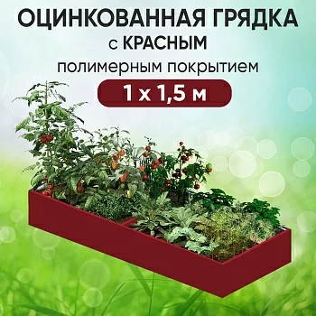 Грядка красная (1 х 1,5)